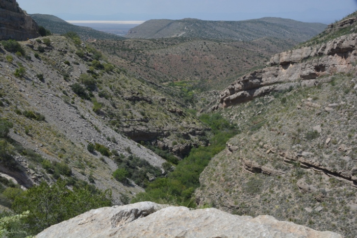 Lincoln National Forest from Highway 82
